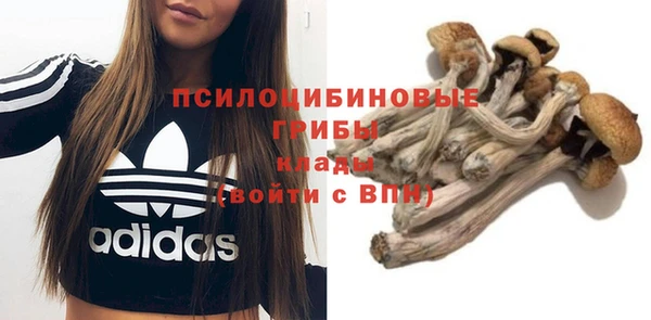 дмт Яровое