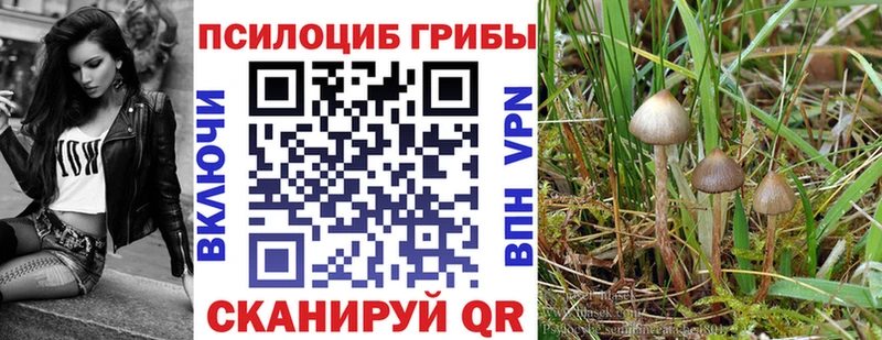 где найти   Бокситогорск  Псилоцибиновые грибы мухоморы 